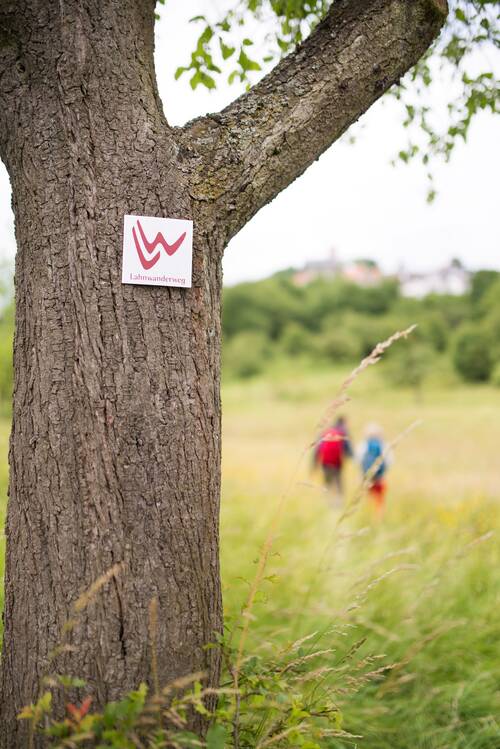 Signpost on the Lahn hiking trail with a beautiful meadow in the background.