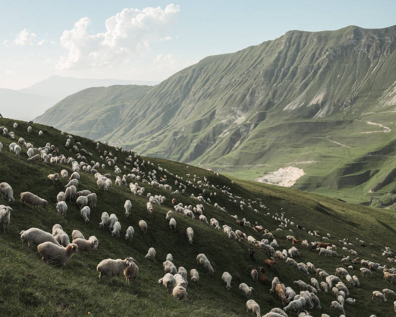 www.leicawelt.com/ausstellung/leica-oskar-barnack-award-2026